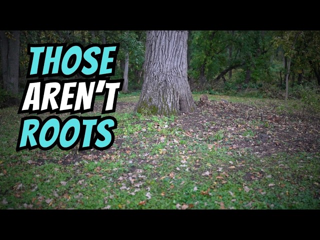 We Were Digging at an 1880s Homestead…Then This Happened