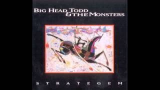Wearing Only Flowers // Big Head Todd and the Monsters // Strategem (1994)