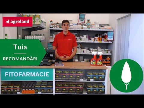 🌳 Recomandări pentru îngrijirea arborelui de Tuia 🌿