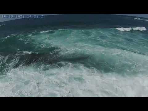 Farthest you can go on Feurteventura!!!