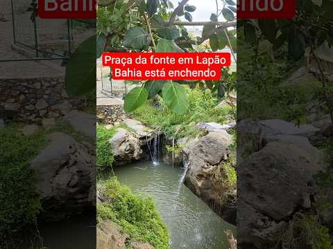 Praça da fonte de Lapão Bahia está enchendo com as fortes chuvas ⛈️ 🌧️