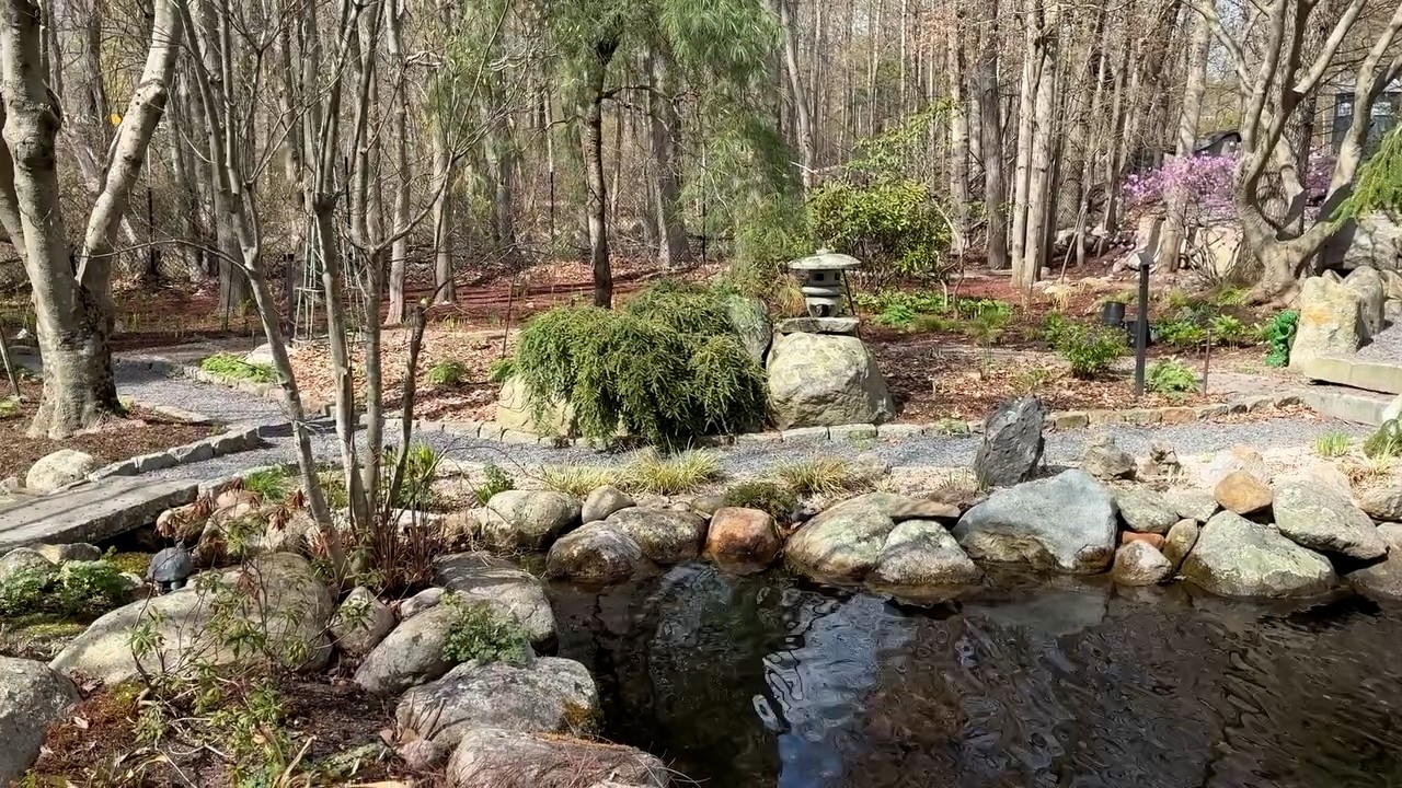 2026 Early Spring at Cochato