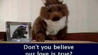 SVP - Baby Portable Rock