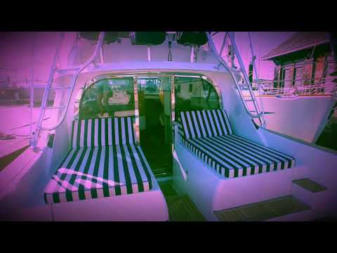 All New 2018 Bertram 35