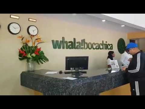 Videos del Whalaboca Chica 4★ en Boca Chica, República DominicanaVer MásVerPrecios20CerrarConsulta por Whatsapp 🇦🇷BookingTripadvisorExpediaAgodaTravelocityOrbitzPricelineTripSkyscannerDespegarKayakHotelesBestdayDestiniaTrivagoTurismocityAlmundoLastminuteTuiWotif