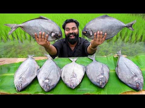 Giant Avoli Fish Grill | ആവോലിമീനെ ചുട്ടത് | M4 Tech |