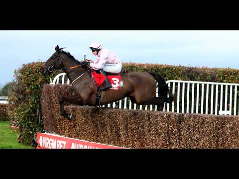 Grade 1 glory for Sixmilebridge as Kitzbuhel unseats rider