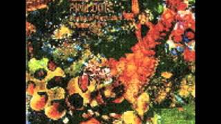 The Legendary Pink Dots -I Dream Of Jeannie