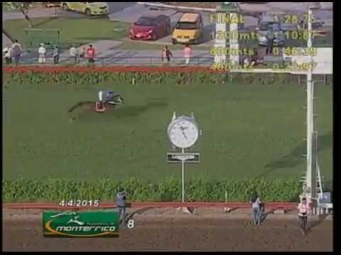 CAFARNAUM – CLÁSICO AUGUSTO MAGGIOLO CAVENECIA 2015 – 1500 m TURF