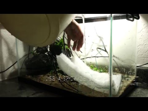 How To Setup A Low Tech Planted Aquarium