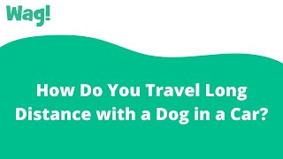 How Do You Travel Long Distance with a Dog in a Car? | Wag!