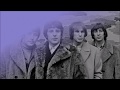 Anyway That You Want Me   THE TROGGS (with lyrics)