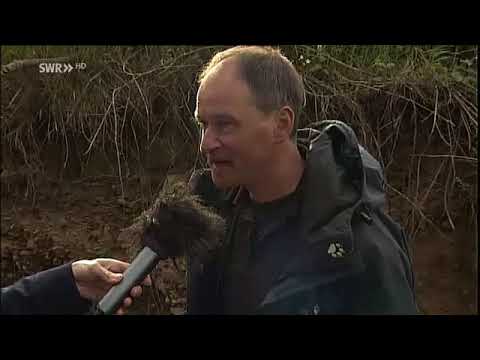 Live im Land Schalte ASV Guldental