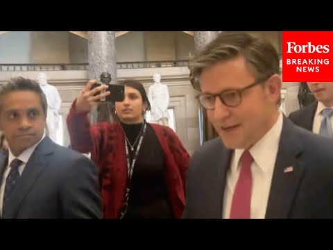 Mike Johnson Asked Point Blank About President Trump's 'S---hole Countries' Remark