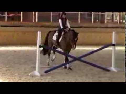 napoleon linda allen 1 2014