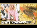 27 ECHTE KOiKARPERS GEKOCHT! ?? | Bellinga Vlog #2070