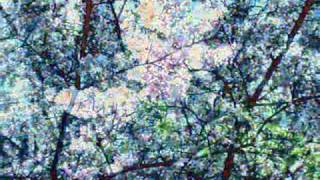 Bài hát うさぎとかめ - Nghệ sĩ trình bày Aki Toyosaki