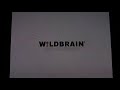 Wildbrain Nickelodeon Prouductions 2013