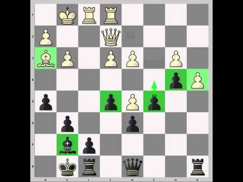 Vlastimil Hort - Bent Larsen 1967