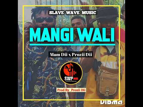 Mangi Wali_Mam Dii ft Prozii Dii (2024) Png Music_Prod By-Prozii Dii.