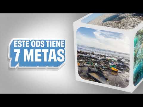 ODS N° 14 Vida submarina
