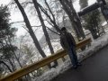 Haal E Dil Tuj Ko Sunata DANI Wmv
