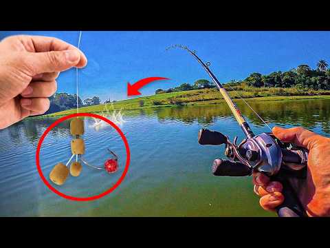É IMPRESSIONANTE.... O tanto que esses peixes explodem no EVA mesmo no inverno