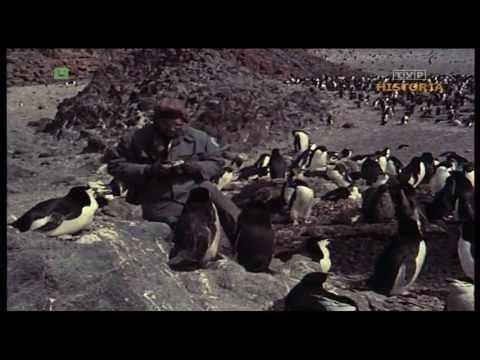 Przyroda Antarktycznej Wyspy (Włodzimierz Puchalski)