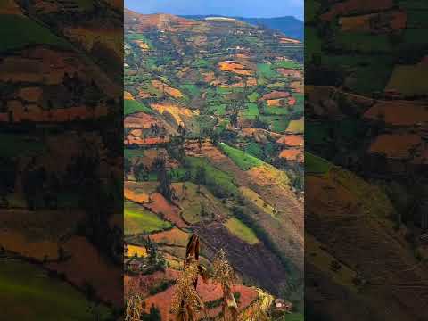 Huánuco pachitea  papera del Perú