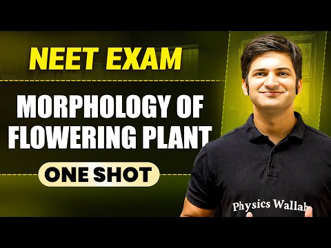 MORPHOLOGY OF FLOWERING PLANTS in 1 Shot || All Concepts & PYQs Covered || Prachand NEET