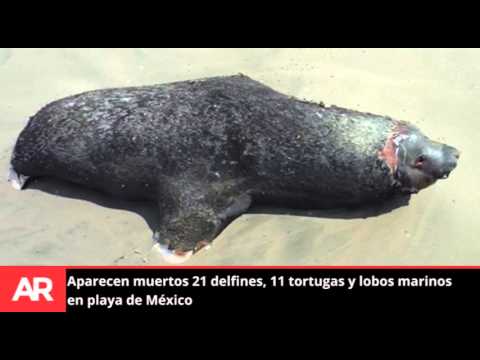 Resumen vespertino de noticias, viernes 16 de octubre del 2015