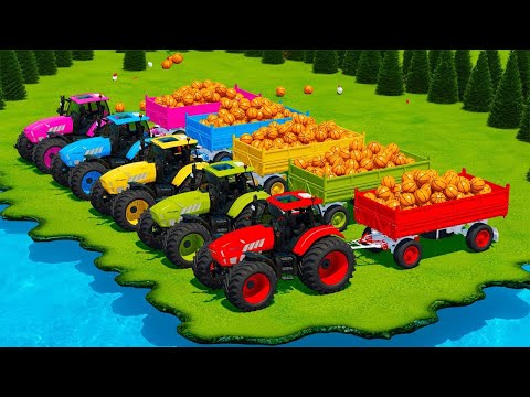 LOAD AND TRANSPORT BASKETBALLS WITH LAMBORGHINI TRACTORS -  Farming Simulator 22