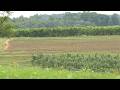 USDA disaster declaration aims to help farmers impacted by crop-killing freeze