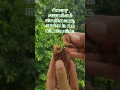 MilkyWay fun size milk chocolate candy bar | lots of candies