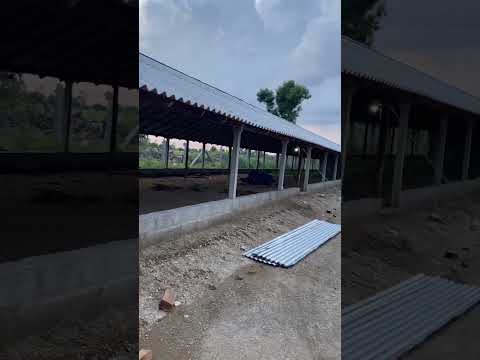 Poultry farm construction
