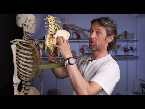 Sciatica  Pain thumbnail