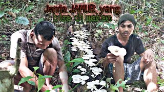 Download lagu Suku Dayak || Berburu Menu Istimewa Asli Tumbuh di Hutan Kalimantan mp3