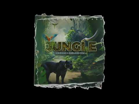 V6 Riddim Mix (Chronic Law, Fully Bad, alie, & More)