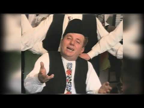 Žika Cvetković - Okisori ku sprncana njagra