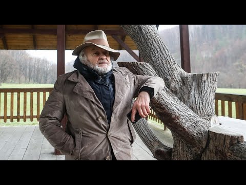 Cannes Film Festival in France - Polish Director Jerzy Skolimowski About His Film "EO"