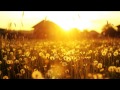 Daughter - Home (Jon Hopkins Remix) 
