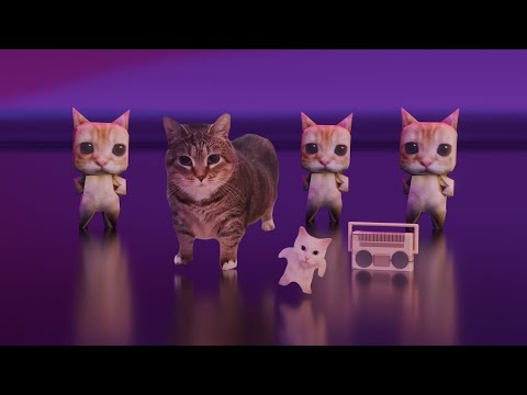 OIIA CAT x Ay mi Gatito Miau Miau [4K] (MONTAGEM MIAU) | Music Video
