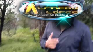 ALFREDO LOPEZ La Voz De Puebla | MI AMOR | VIDEO OFICIAL publicidades KANZ