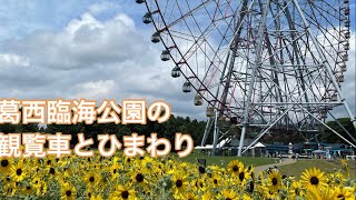 葛西臨海公園　観覧車からの景色とひまわり　kasai-rinkai-park tokyo