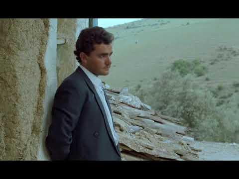 Трейлер