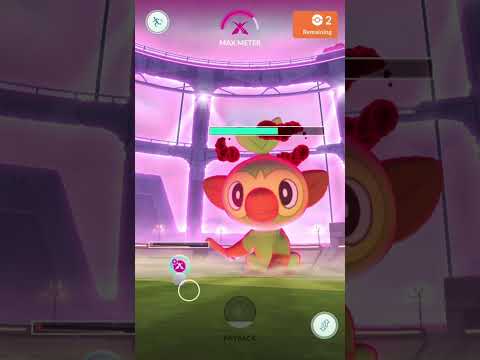 I took down a dynamax grookey