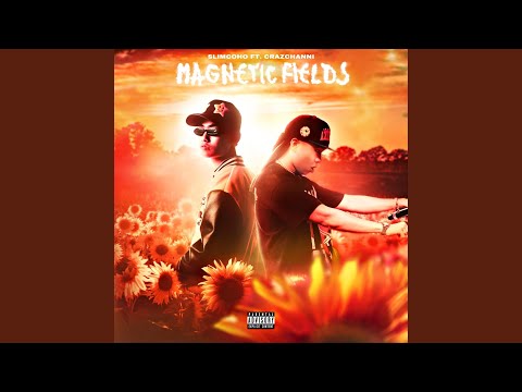 Magnetic Fields (feat. Crazchanni)