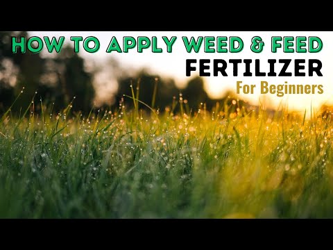 How To Apply Weed and Feed Fertilizer Like a Pro