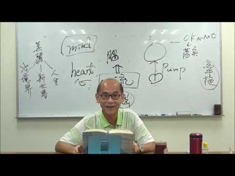 （21）夢 進化與價值完成第九章（下）卷二  p 538  1110510