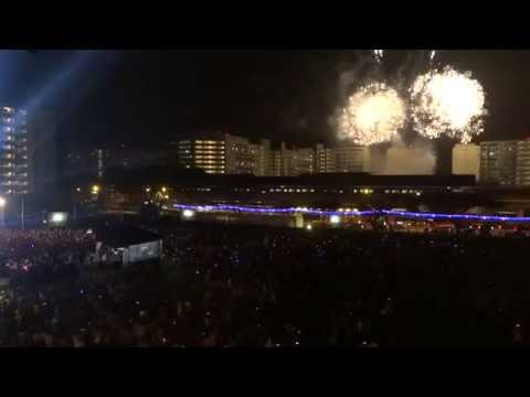 Countdown to 2014 @ Nee Soon South + Fireworks Display